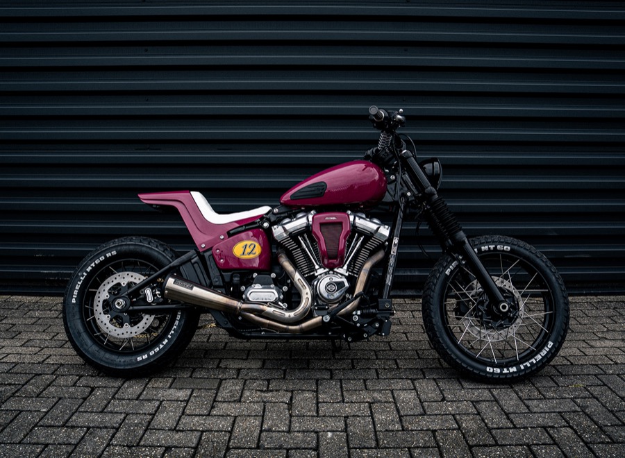 Kyrova Street Bob Noir